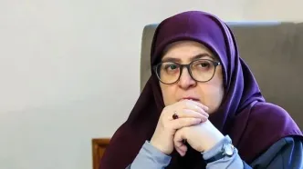 مهاجرانی: دولت در مهلت قانونی وزیر اقتصاد را به مجلس معرفی می‌کند