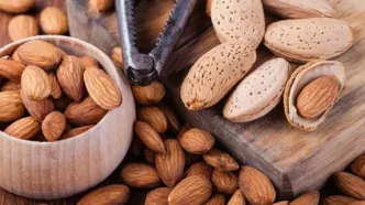 دنبال کالری‌سوزی هستید؟ این مغز آجیلی به کارتان می‌آید