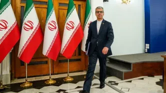 واکنش بقایی به سخنان اردوغان درباره نوروز