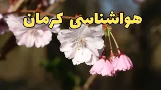 پیش بینی هواشناسی کرمان ۲۴ ساعت آینده | وضعیت آب و هوا کرمان فردا سه شنبه ۱۲ فروردین ماه ۱۴۰۴ | آب و هوای کرمان در روز ۱۳ بدر