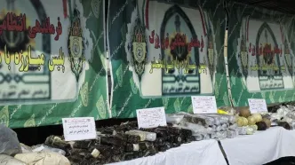 جمع آوری ۲۰۷ کیلوگرم موادمخدر از اطراف مدارس در تهران