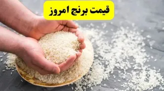 اعلام به روزترین قیمت انواع برنج ایرانی و هندی امروز شنبه ۳ خرداد ۱۴۰۴