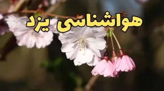پیش بینی هواشناسی یزد ۲۴ ساعت آینده | وضعیت آب و هوا یزد فردا سه شنبه ۱۲ فروردین ماه ۱۴۰۴ | آب و هوای یزد در روز ۱۳ بدر