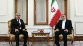 سفیر جمهوری قرقیزستان در پایان مأموریت خود با عراقچی دیدار کرد