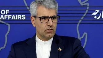 بقائی: «انور قرقاش» حامل نامه ترامپ به ایران است