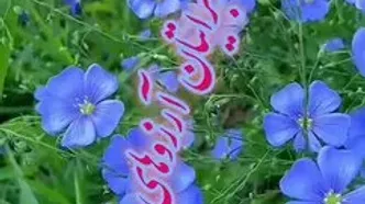 تفسیر فال حافظ 23 اسفند 1403 + فیلم