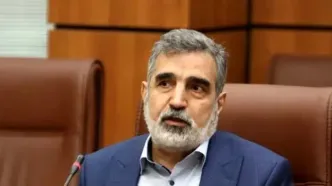 کمالوندی: غنی‌سازی به شکل چشمگیری افزایش خواهد یافت