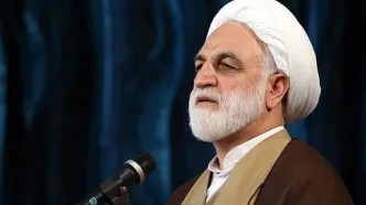 در شگفتم از کسانی که دل به وعده‌های دروغین و پوچ شیطان و شیطان‌صفتان می‌بندند؛ خلف وعده‌های آمریکا را می‌بینند و کماکان نسخه مذاکره را می‌پیچند