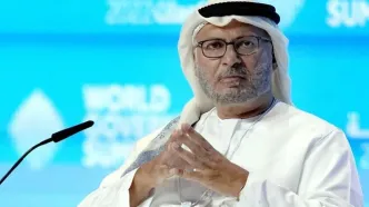 مشاور رئیس امارات در راه تهران؛ انور قرقاش حامل پیام ترامپ است؟