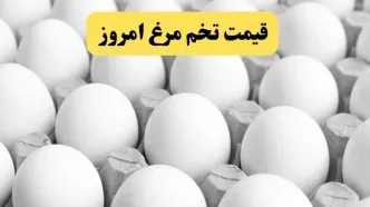 اعلام جدیدترین قیمت تخم مرغ امروز دوشنبه ۲۹ اردیبهشت ۱۴۰۴ | هر دانه تخم‌مرغ چند شد؟