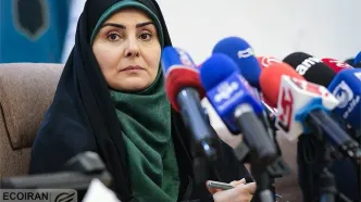 چه تعداد زائر ایرانی از مراسم اربعین بازگشتند؟