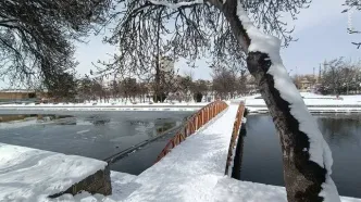 ببینید | زورآزمایی برف زمستان در بهار اردبیل