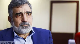 واکنش سازمان انرژی اتمی به اظهارات وزیر خارجه آمریکا؛ ایران تنها کشوری نیست که غنی‌سازی می‌کند و سلاح هسته‌ای ندارد