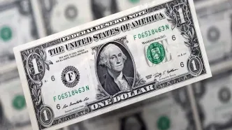 نرخ چقدر ریخت؟ / جدیدترین قیمت دلار کانادا امروز سه شنبه ۱۴ اسفند ۱۴۰۳