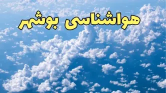 پیش بینی وضعیت آب و هوا بوشهر فردا ۱۴ اسفند ۱۴۰۳ | پیش بینی هواشناسی بوشهر سه شنبه ۱۴ اسفند / آماده باش در بوشهر