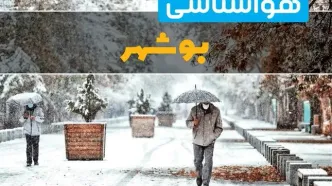 وضعیت آب و هوا بوشهر فردا یکشنبه ۱۲ اسفند ۱۴۰۳ | پیش بینی هواشناسی بوشهر طی ۲۴ ساعت آینده + آب و هوای بوشهر