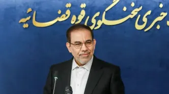 سخنگوی قوه قضاییه در واکنش به استعفای ظریف: اگر کسی از قانون تبعیت نکند، قانون‌گذار او را مجبور به تبعیت می‌کند