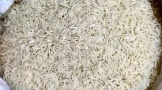 قیمت برنج ایرانی به ۲۵۰ هزار تومان رسید!