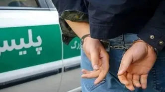 دستگیری ۲۲ نفر از عوامل اصلی فتنه قومی در آذربایجان‌غربی