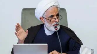 انصاری: اصلاحیه قانون حجاب در حال تدوین است