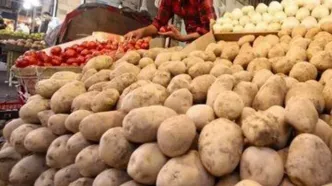 افشاگری سوال برانگیز درباره سیب زمینی های وارداتی