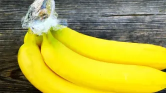 بهترین روش های نگهداری موز برای طولانی مدت | مهم ترین دلایل سیاه شدن موز + عکس