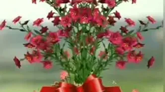 فال و طالع بینی روزانه 24 اسفند + فیلم