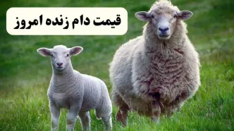 آخرین تحولات قیمت دام زنده امروز سه‌شنبه ۱۴ اسفند ۱۴۰۳