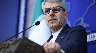 تاکید بقائی بر پذیرش مسئولیت توسط اروپایی‌ها در جنایت حلبچه