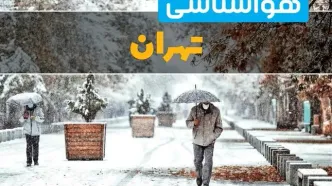 پیش بینی وضعیت آب و هوا تهران فردا یکشنبه ۱۲ اسفند ۱۴۰۳ | پیش بینی هواشناسی تهران طی ۲۴ ساعت آینده + آب و هوای تهران و کاهش دما