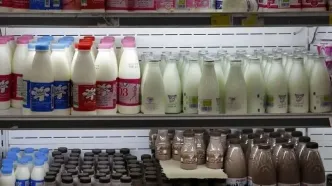 قیمت لبنیات در راه کاهش؛ وزیر کشاورزی از اصلاح نرخ شیر و محصولات مشتق خبر داد