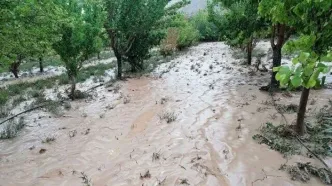 سیل در روستای قروه شهرستان ابهر در استان زنجان