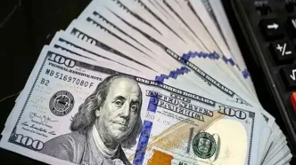 پیش بینی قیمت دلار فردا یکشنبه ۲۶ اسفند ۱۴۰۳ / دلار فردا پرواز می کند؟