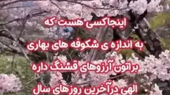 فال ابجد واقعی 23 اسفند + فیلم