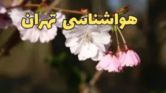 پیش بینی هواشناسی تهران ۲۴ ساعت آینده | وضعیت آب و هوا تهران فردا سه شنبه ۱۲ فروردین ماه ۱۴۰۴ | آب و هوای تهران در روز ۱۳ بدر