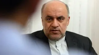 مجتبی امانی: در مساله خلع سلاح مقاومت دخالت نمی‌کنیم