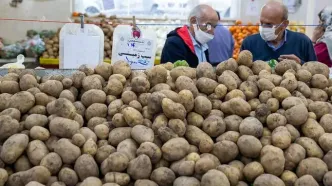 سیب زمینی با قیمت جدید با بازار سرازیر شد (۲۷ فروردین)