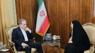 دیدار سفیر  ایران در اسلوونی با عراقچی