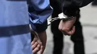 دستگیری ۲ شرور مسلح در غرب تهران / کشف ۱۴ قبضه سلاح گرم