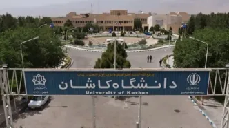 پیدا شدن مارمولک در غذای دانشجو/ عکس