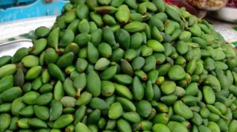 خطر مسمومیت شدید با مصرف این نوع چغاله‌
