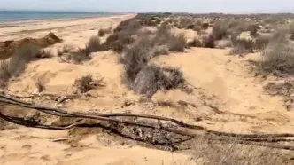 انهدام شبکه قاچاق سوخت در ساحل قشم / 8 خط لوله ۳ کیلومتری منهدم شد!