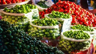 نوبرانه‌های نجومی به بازار آمدند/ گوجه سبز کیلویی چند؟
