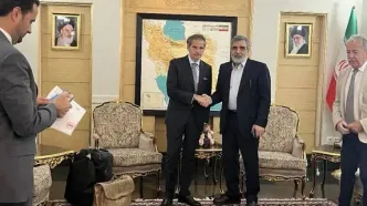 استقبال کمالوندی از گروسی در تهران
