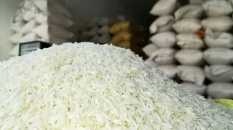 آماری عجیب از دور ریز برنج در کشور؛ روزانه ۸ تُن!
