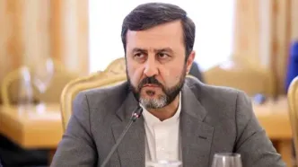 گزارش غریب‌آبادی از مذاکرات رم در کمیسیون امنیت ملی مجلس