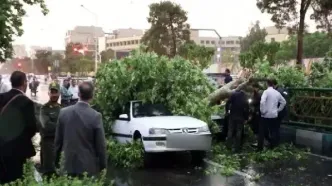 افزایش مصدومان در پی وقوع طوفان در پایتخت