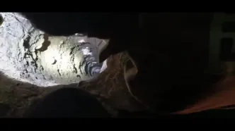 نجات گرگ  گرفتار در چاه ۱۲ متری با تلاش آتش‌نشانی و همکاری مردم+ فیلم