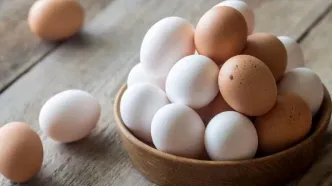 مصرف روزانه تخم مرغ؛ خوب یا بد؟/ ویدئو