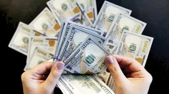 قیمت جدید دلار، یورو و سایر ارزها امروز ۱۴ اردیبهشت ۱۴۰۴/ مرز مقاومتی دلار شکست